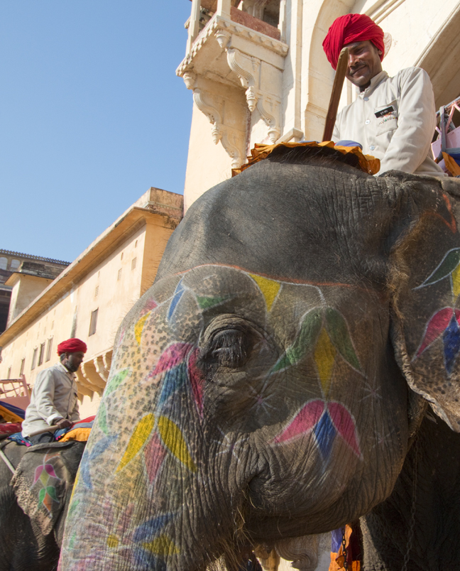 Painted Elephant, Amber Fort, Jaipur, India