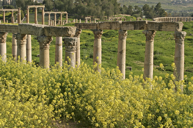 Roman columns at Jerash, Jordan