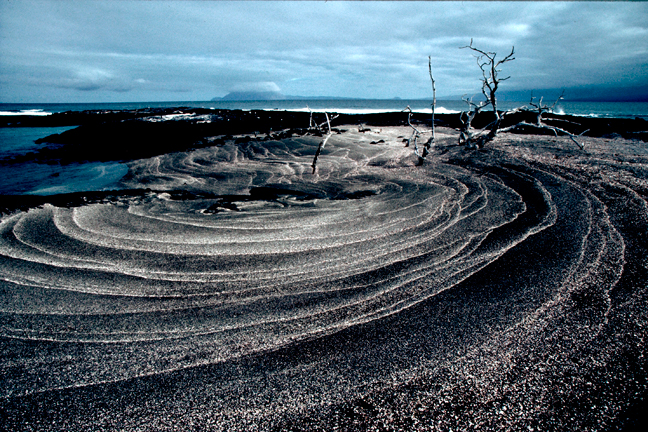 Black lava beach, Galapagos, Ecuador