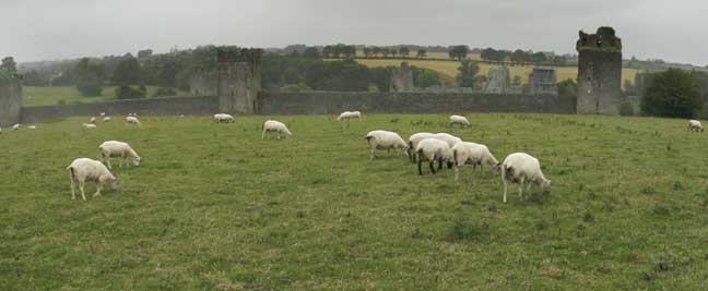 Kells Priory, Ireland