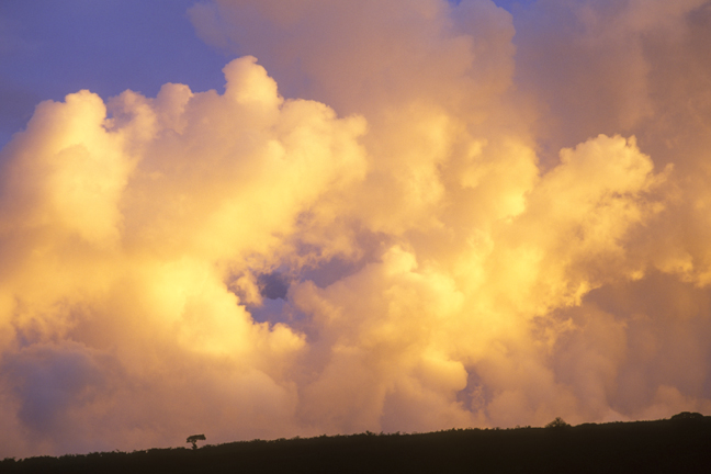 Ngorongoro thunderstorm at sunset, Tanzania