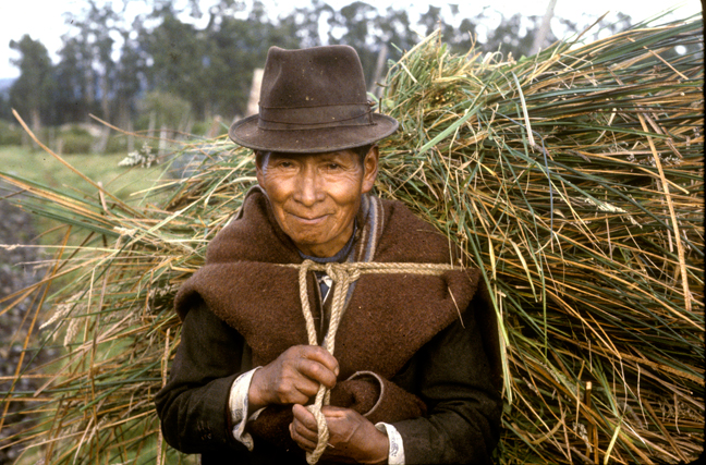 Ecuador Farmer carrying fodder, Ecuador