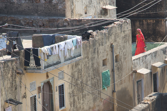 Laundry day, Rajasthan, India